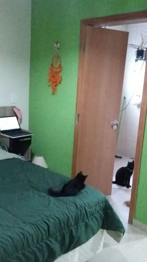 Chácara à venda com 3 quartos, 5000m² - Foto 2
