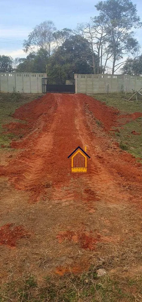 Sítio, 7 hectares - Foto 11