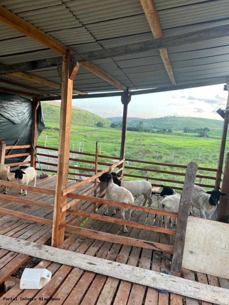 Fazenda, 53 m² - Foto 3