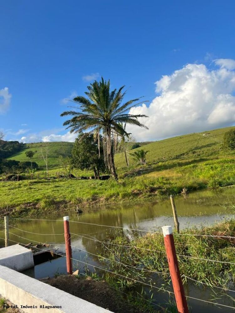 Fazenda, 53 m² - Foto 5