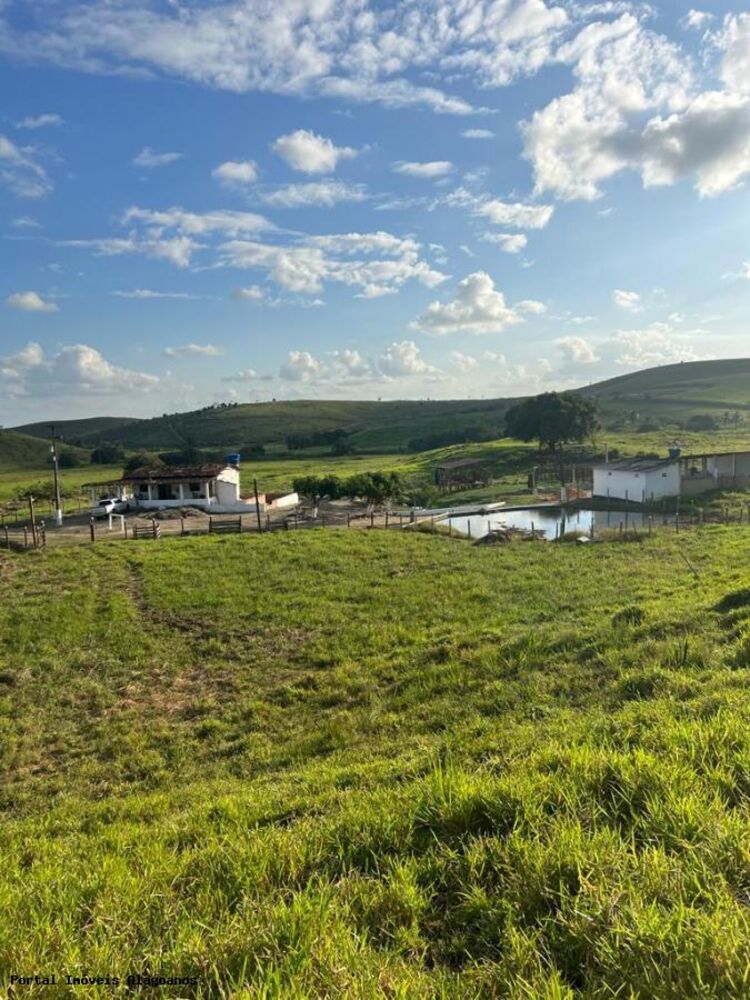 Fazenda, 53 m² - Foto 7