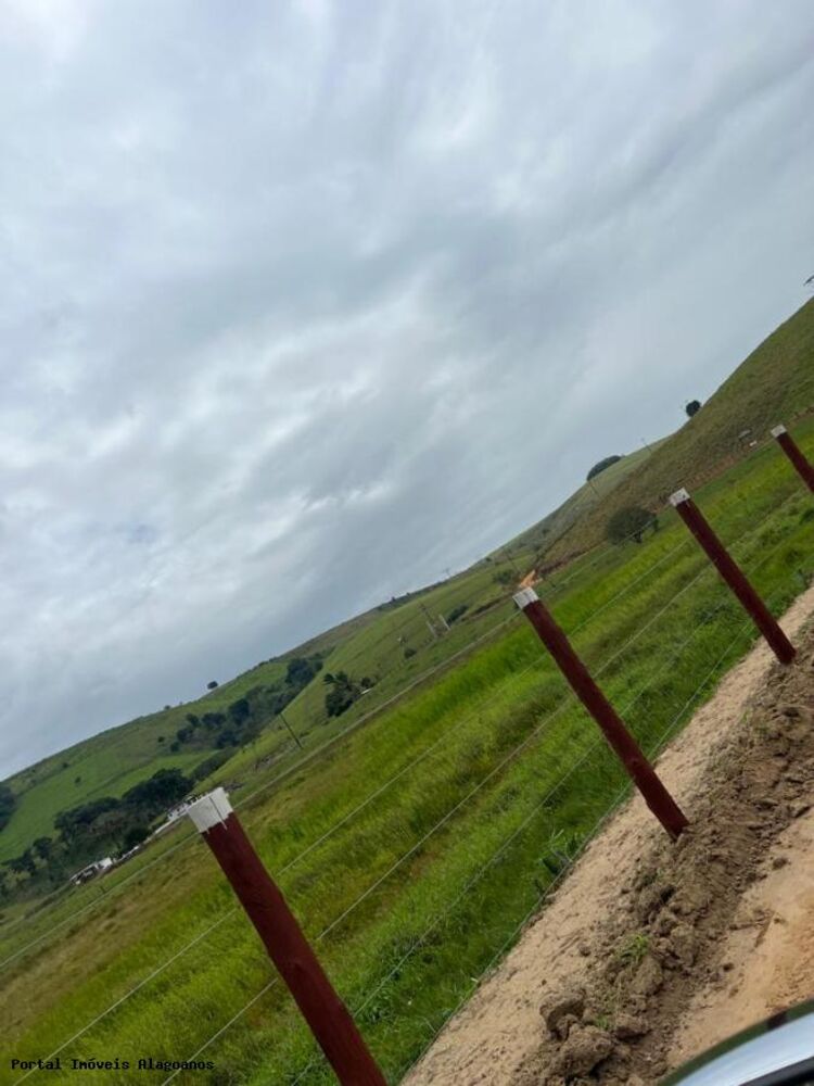Fazenda, 53 m² - Foto 4