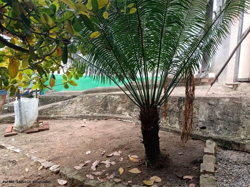 Chácara, 3 quartos, 1000 m² - Foto 2