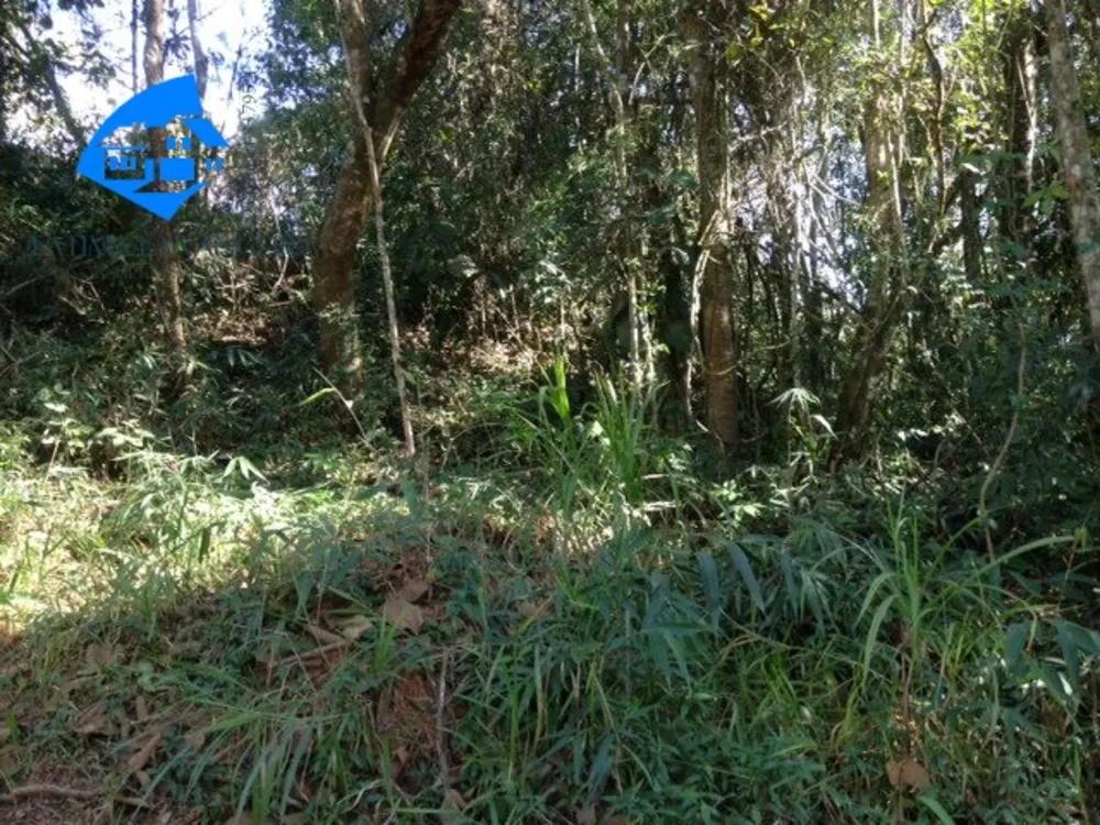 Terreno, 20000 m² - Foto 6