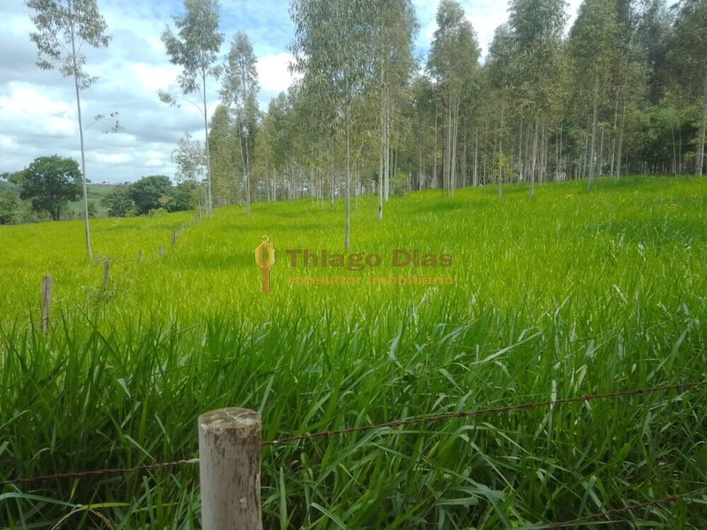 Sítio, 4 quartos, 15 hectares - Foto 1