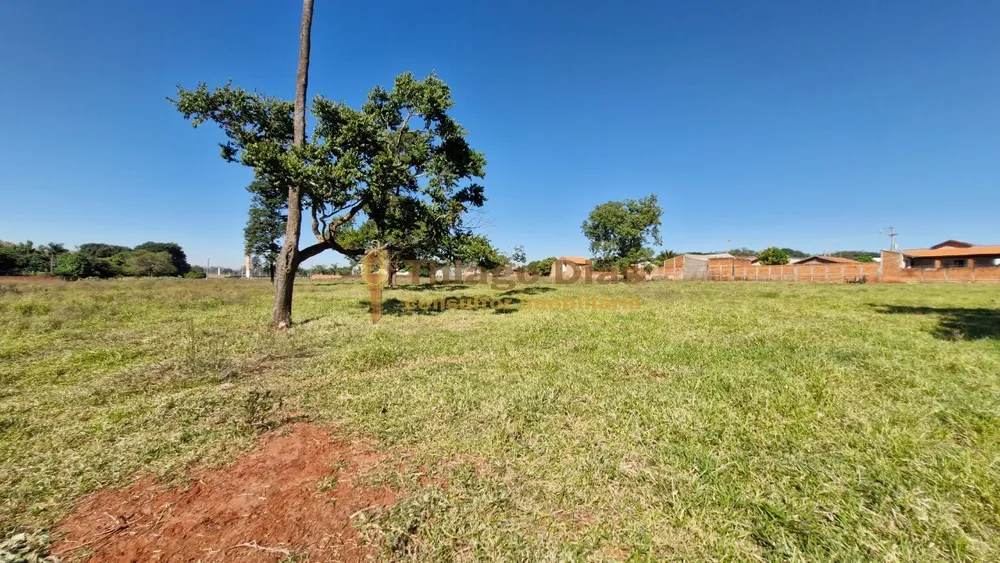 Terreno, 2 hectares - Foto 4