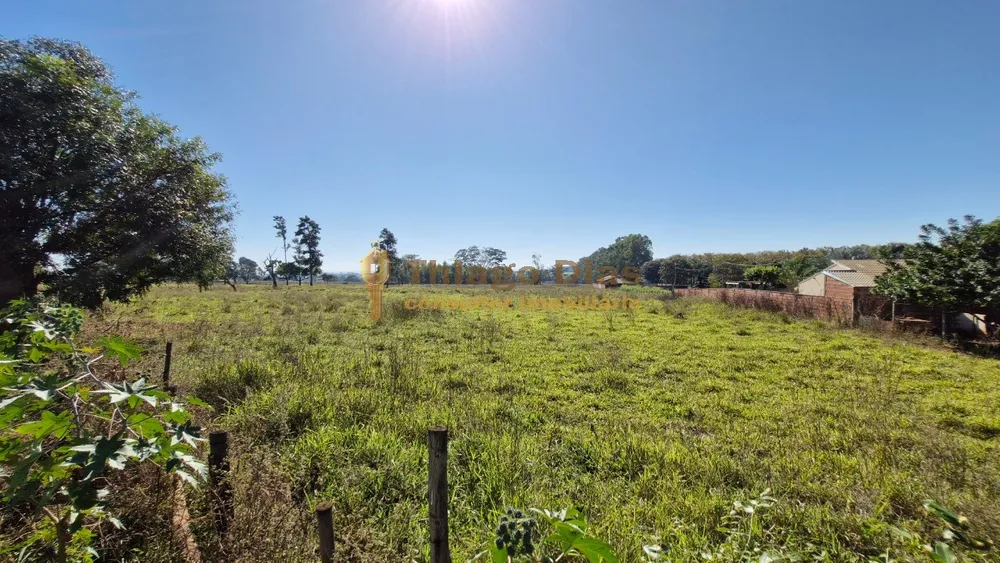 Terreno, 2 hectares - Foto 7