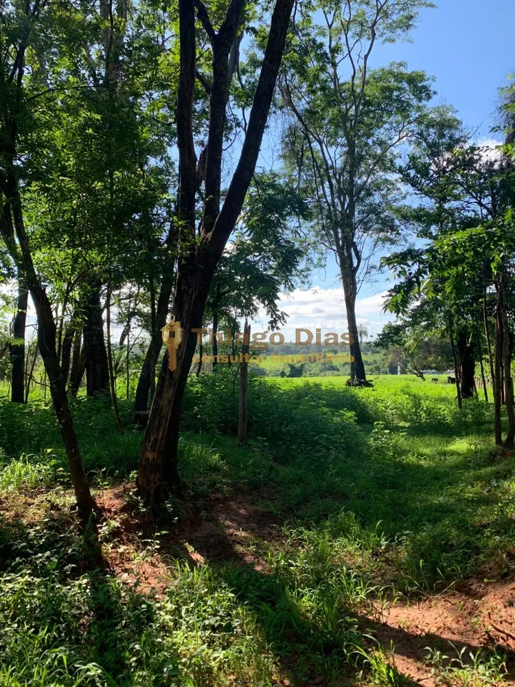 Chácara, 2 hectares - Foto 3