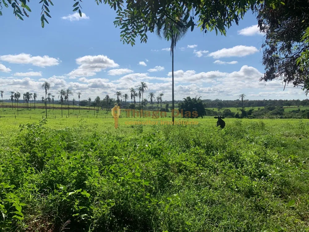 Chácara, 2 hectares - Foto 4
