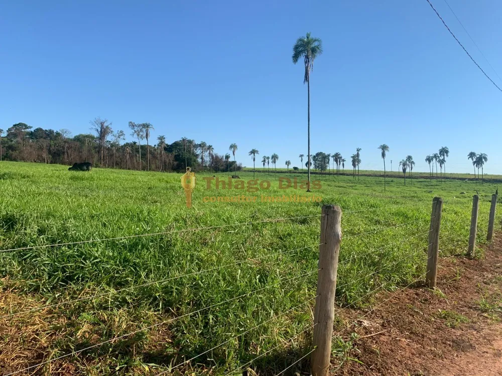 Chácara, 2 hectares - Foto 1