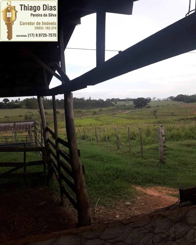 Chácara, 3 quartos, 3 hectares - Foto 1