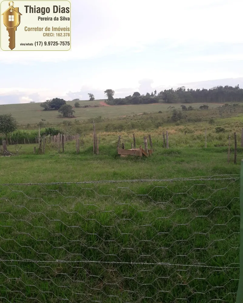 Chácara, 3 quartos, 3 hectares - Foto 3