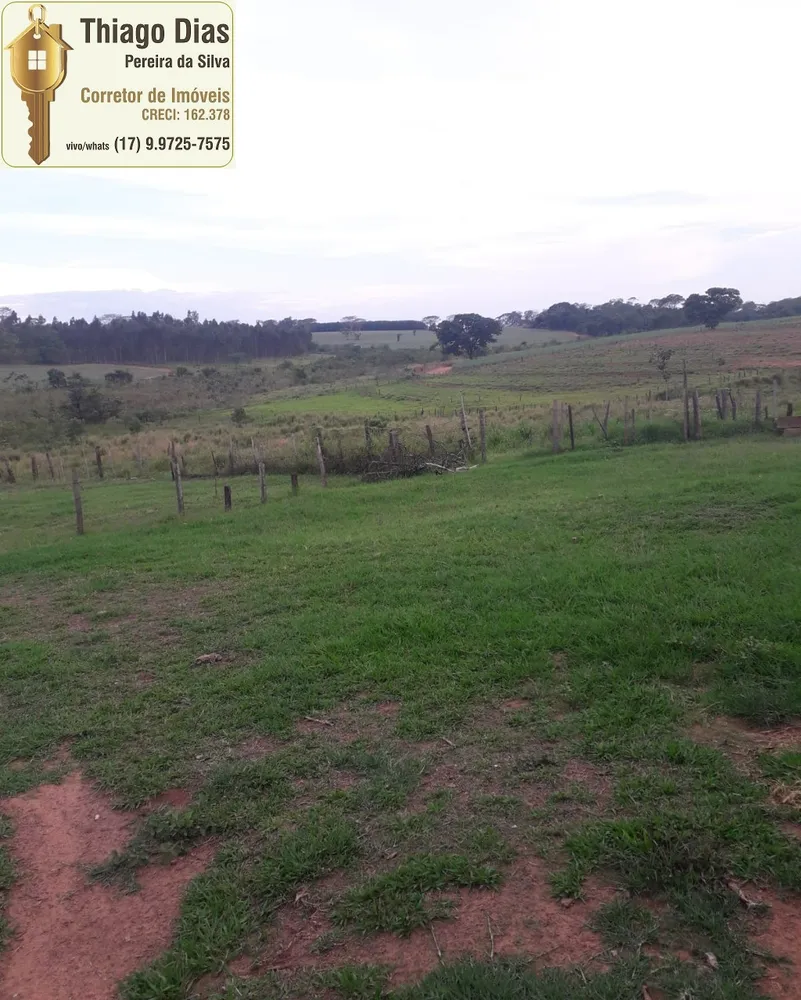 Sítio, 3 quartos, 3 hectares - Foto 6
