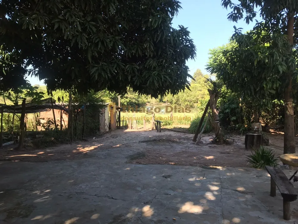 Sítio, 3 quartos, 6 m² - Foto 8