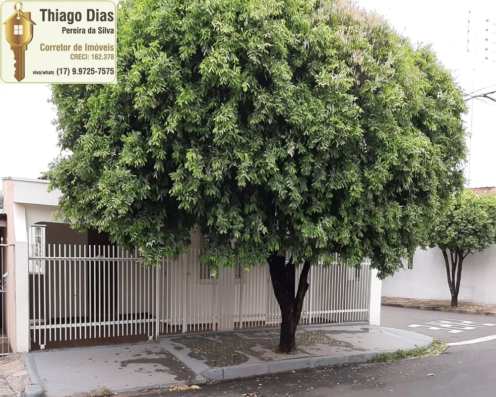 Casa, 5 quartos, 210 m² - Foto 14