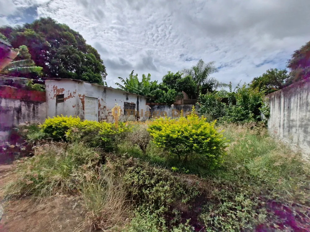 Casa, 3 quartos, 298 m² - Foto 13