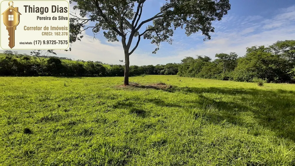 Sítio, 6 m² - Foto 14