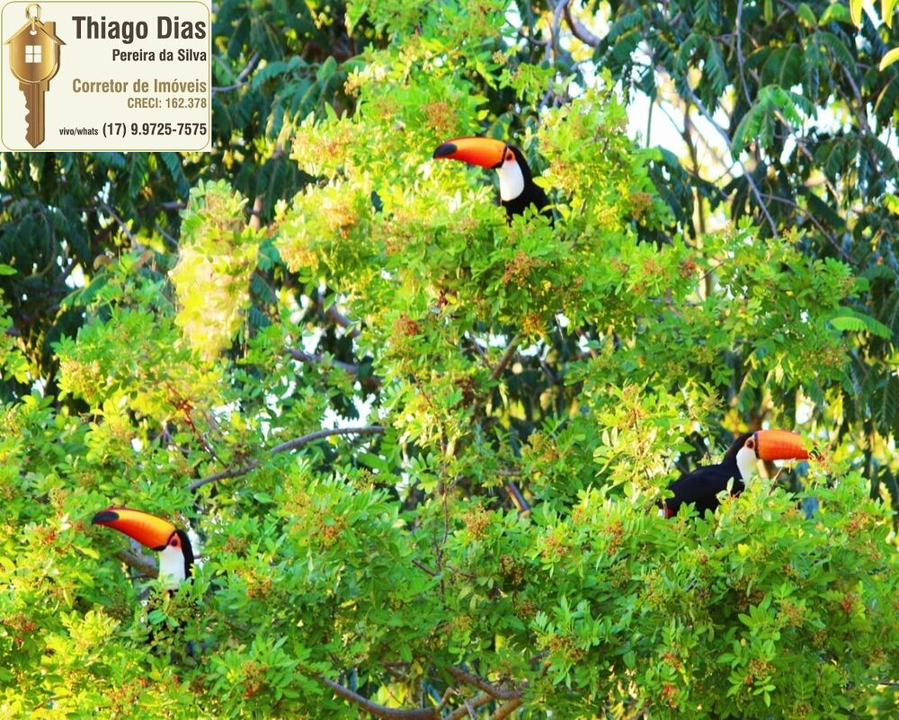 Terreno, 450 m² - Foto 5