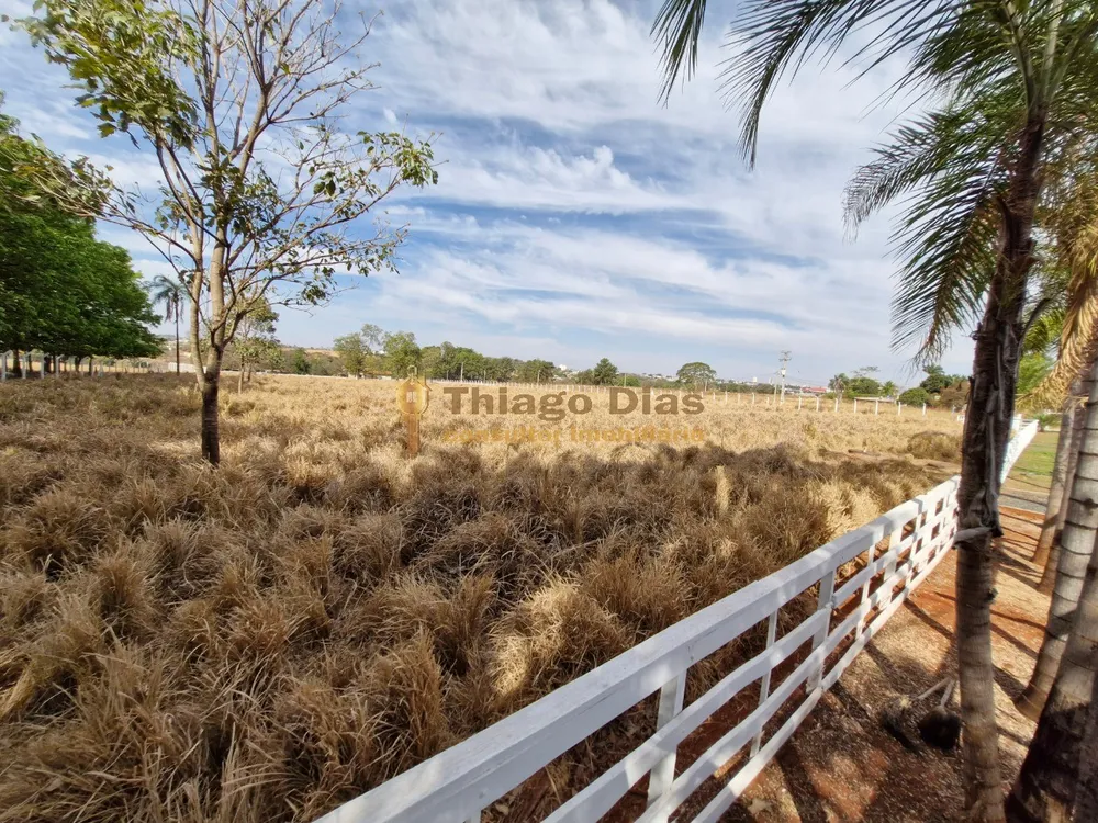 Chácara, 6 quartos, 3 hectares - Foto 12
