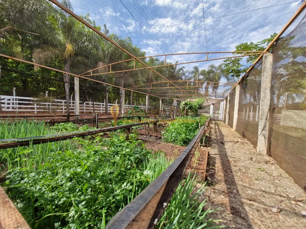 Chácara, 6 quartos, 3 hectares - Foto 11