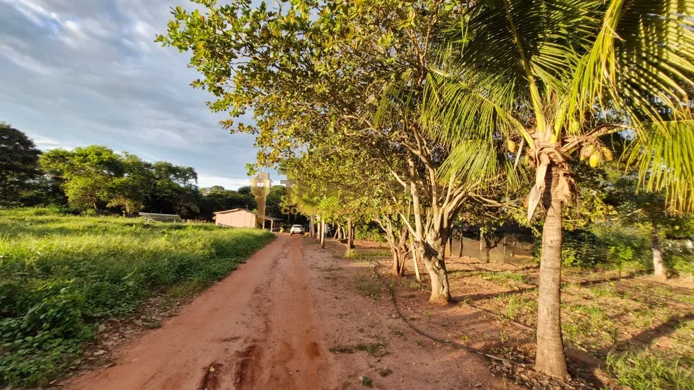 Chácara, 1 quarto, 4 hectares - Foto 6