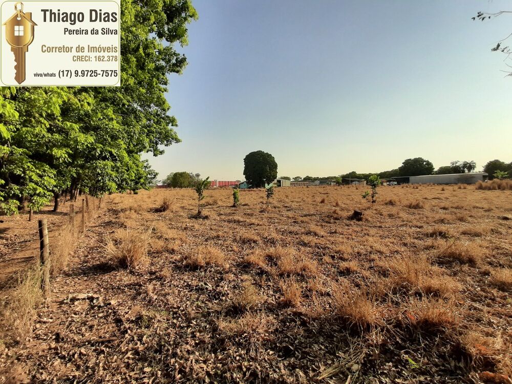 Chácara, 3 hectares - Foto 31