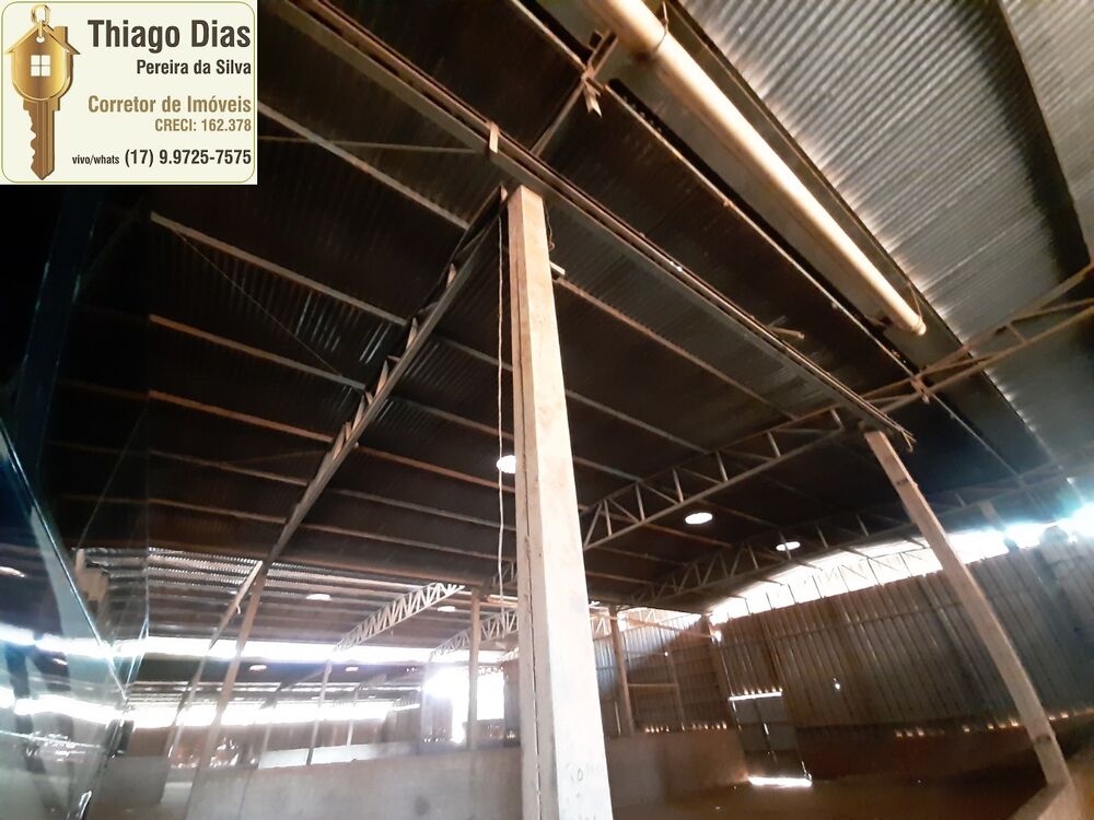 Chácara, 3 hectares - Foto 18