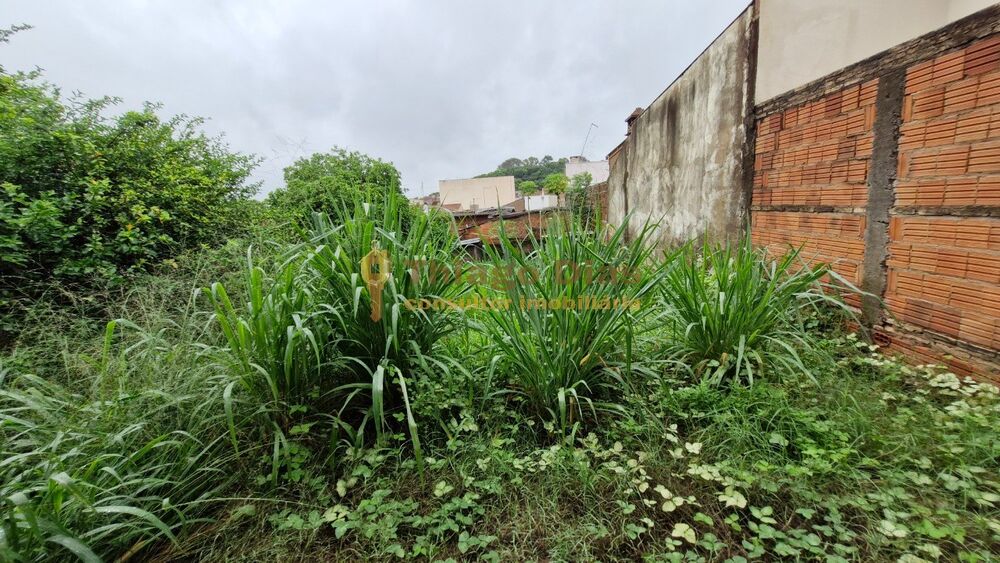 Casa, 3 quartos, 169 m² - Foto 27