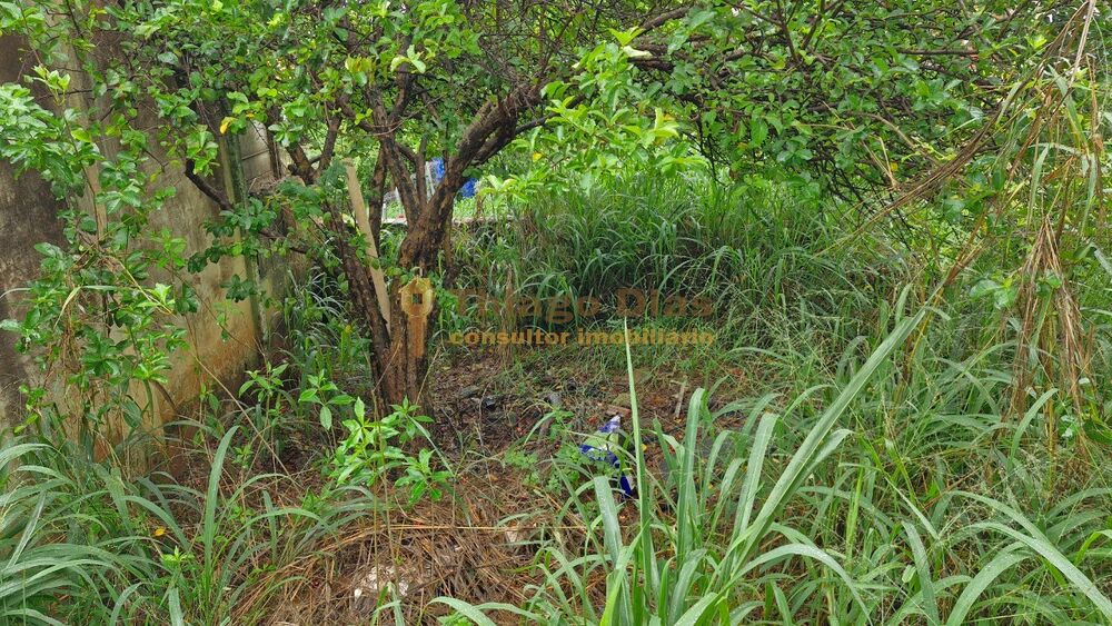 Casa, 3 quartos, 169 m² - Foto 28