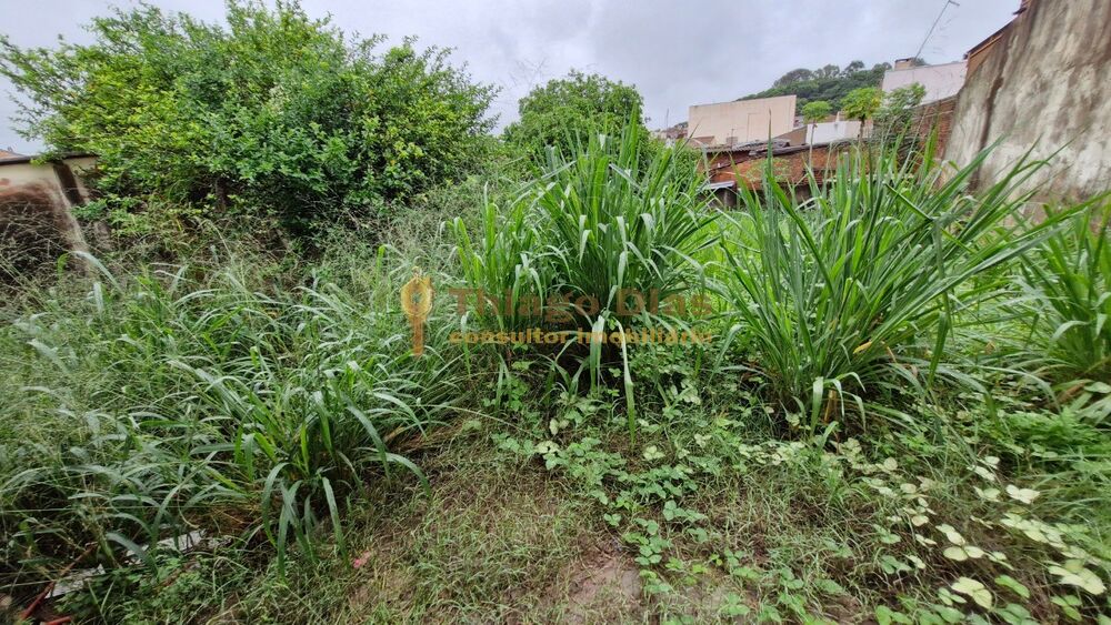 Casa, 3 quartos, 169 m² - Foto 26