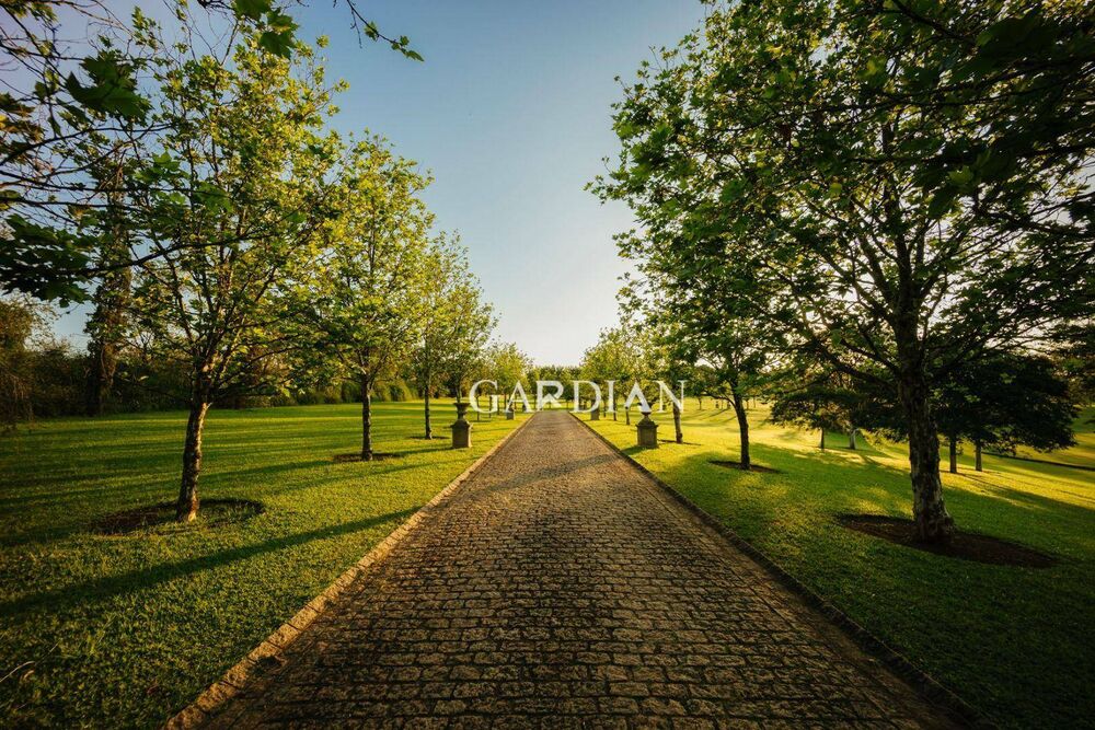 Loteamento e Condomínio, 500 m² - Foto 2