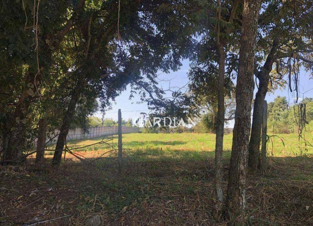 Loteamento e Condomínio, 5000 m² - Foto 1