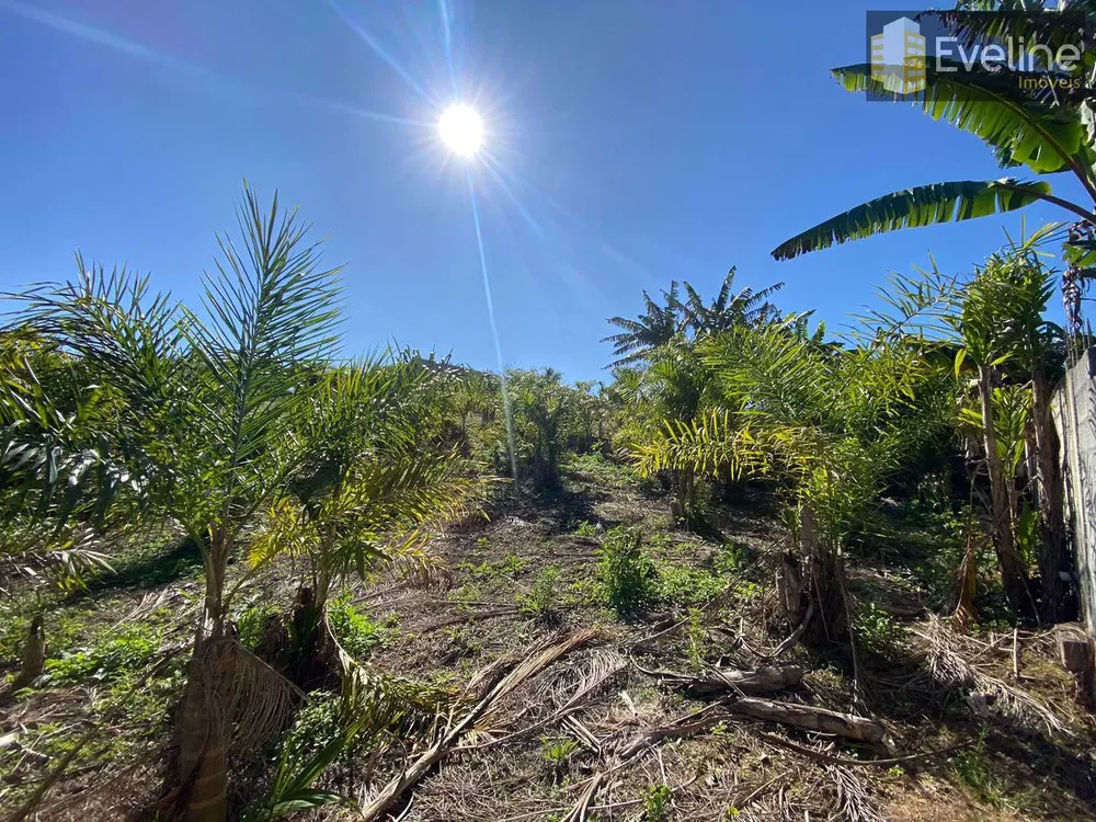 Terreno, 1475 m² - Foto 5