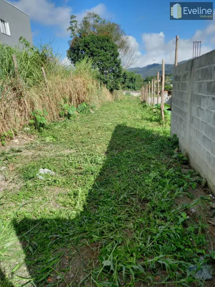 Terreno, 250 m² - Foto 3