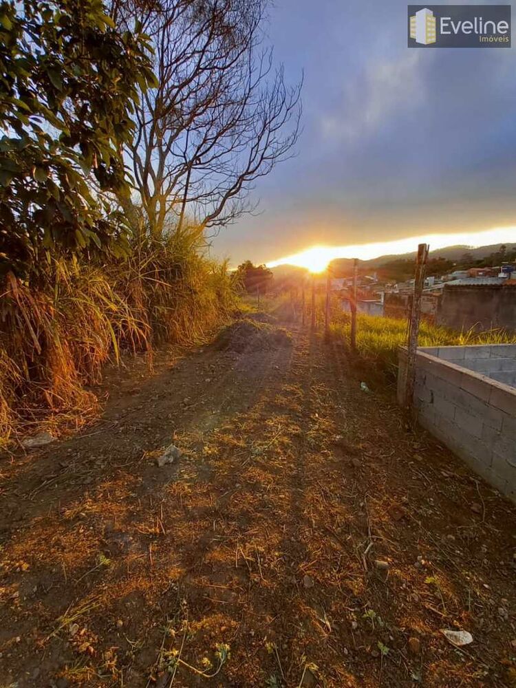 Terreno, 250 m² - Foto 1