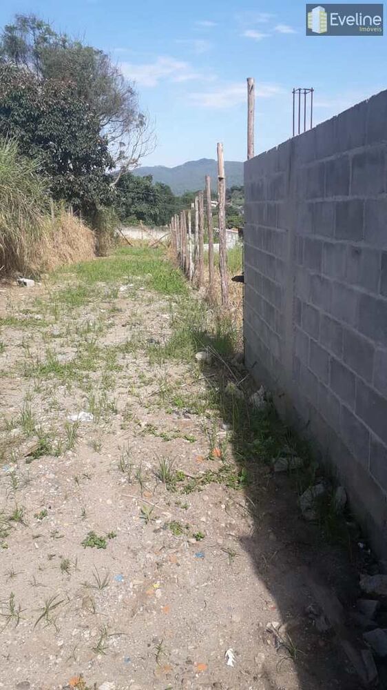 Terreno, 250 m² - Foto 3
