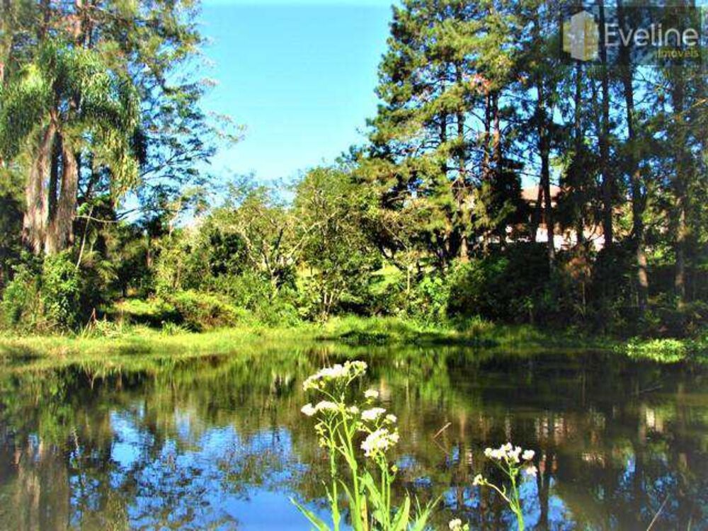 Terreno, 2 hectares - Foto 4