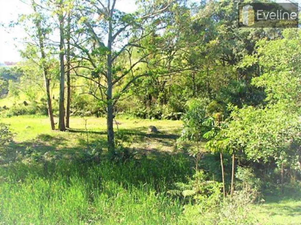Terreno, 2 hectares - Foto 2