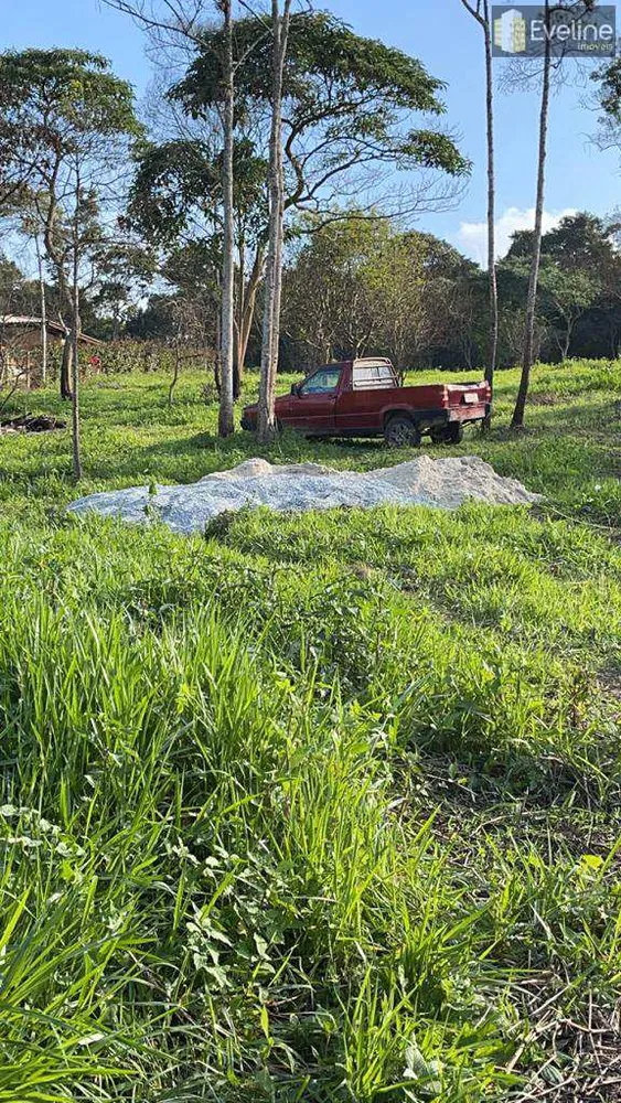 Terreno, 4200 m² - Foto 3