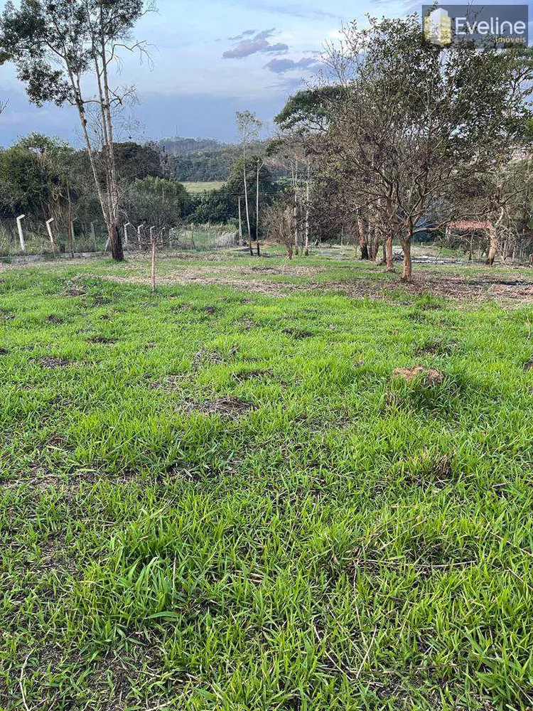 Terreno, 4200 m² - Foto 8