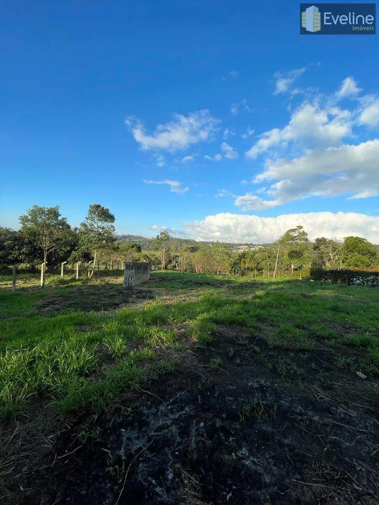 Terreno, 4200 m² - Foto 6