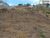 Terreno, 500 m² - Foto 2