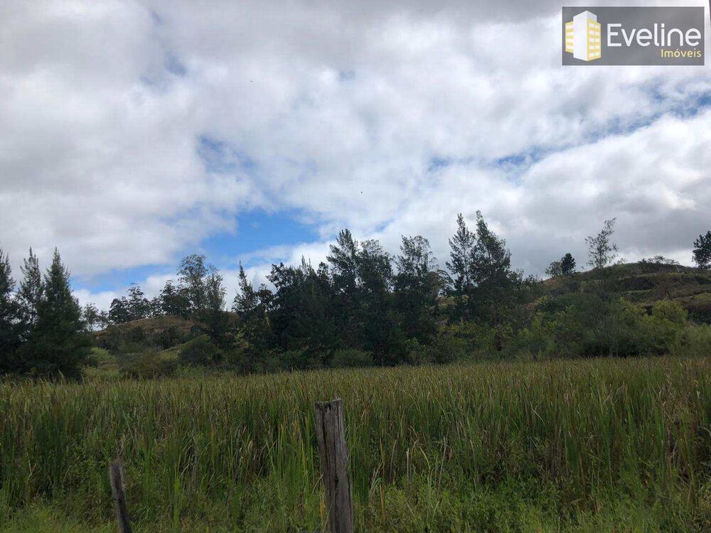 Terreno, 12 hectares - Foto 1