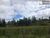 Terreno, 12 hectares - Foto 1