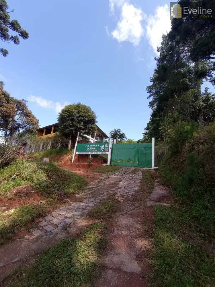 Chácara, 3 quartos, 2000 m² - Foto 5