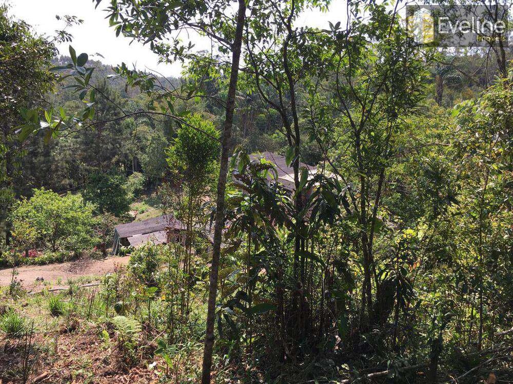 Terreno, 1240 m² - Foto 5