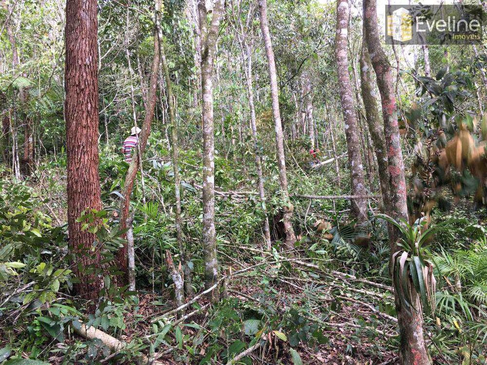 Terreno, 1240 m² - Foto 7