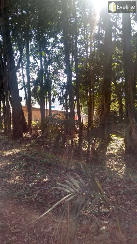 Terreno, 850 m² - Foto 4