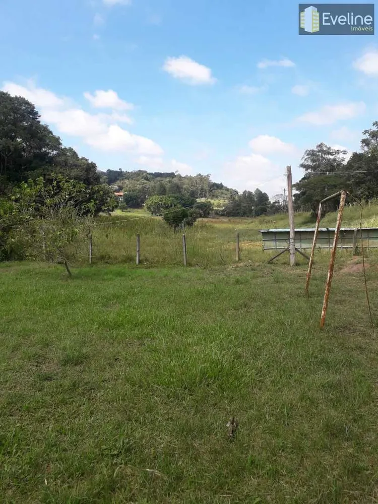 Chácara, 3 quartos, 10000 m² - Foto 10