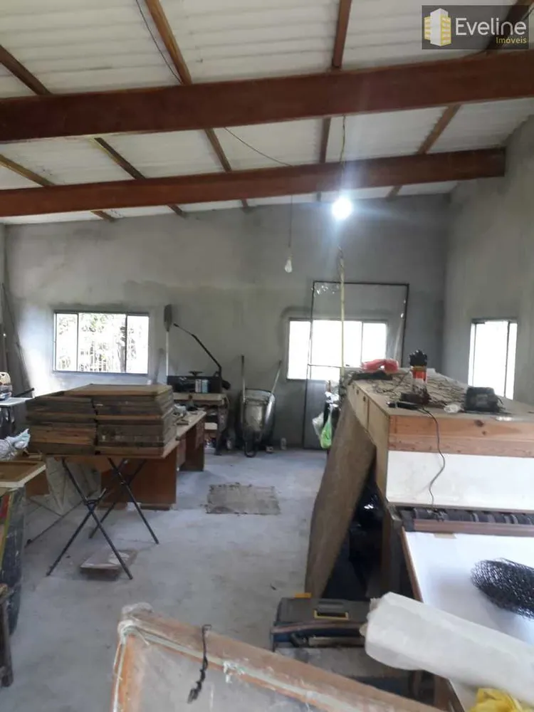 Chácara, 3 quartos, 10000 m² - Foto 8